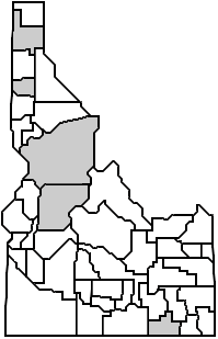 Tansy Ragwort Distribution Map - Grey Area